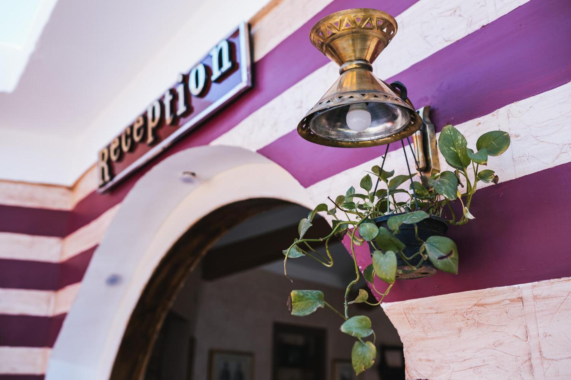 Tuya Hotel Абу-Симбел Экстерьер фото